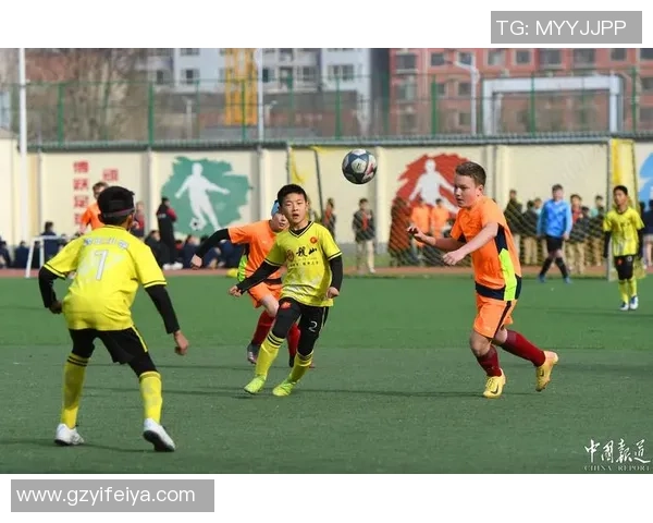 在绿茵场上与足球明星并肩作战的队友们的故事与荣耀